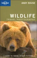 Wildlife Photography : A Guide to Taking Better Pictures