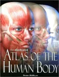 The Illustrated Atlas of the Human Body
