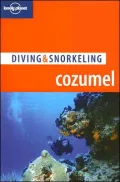 Diving and Snorkeling Cozumel