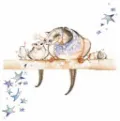 Possum Magic + Canvas Print