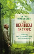 The Hearbeat of Trees: Embracing Our Ancient Bond with Forests and Nature