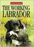 The Working Labrador