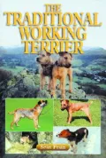 The Traditional Working Terrier