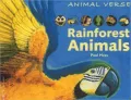 Rainforest Animals