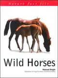 Nature Fact File: Wild Horses