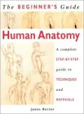 The Beginner's Guide to Human Anatomy : An Artist's Step-by-Step Guide to Techniques and Materials