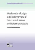 Wastewater Sludge: A Global Overview Of The Current Status And Future Prospects