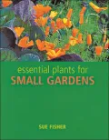 Essential Plants for Small Gardens