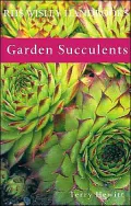 Garden Succulents