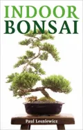 Indoor Bonsai