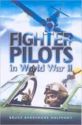 Fighter Pilots In World War II: True Stories Of Frontline Air Combat