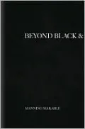 Beyond Black and White: Transforming African-American Politics