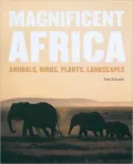 Magnificent Africa