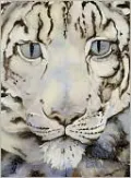Snow Leopard