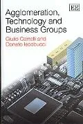 Agglomeration, Technology and Business Groups