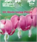 101 Shade-Loving Plants: Ideas to Lighten Shadows