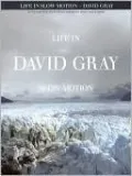 Life in Slow Motion: David Gray