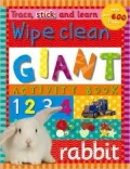 Trace Stick Learn Wipe Clean Giant Activity Book