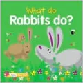 What Do Rabbits Do?
