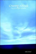 Cruising Altitude: Diary of a Flight at