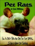 Pet Rats