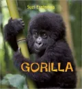 Eye on the Wild: Gorilla
