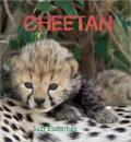 Eye on the Wild: Cheetah