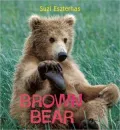 Eye on the Wild: Brown Bear