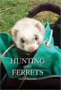Hunting with Ferrets