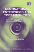 Multinational Enterprises and Tort Liabilities: An Inter-Disciplinary and Comparative Examination