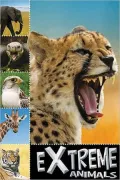 Extreme Animals