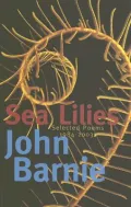 Sea Lilies: Selected Poems 1984-2005