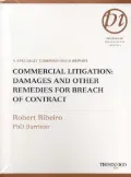 Commercial Litigation