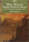 Was Wales Industrialised?: Essays in Modern Welsh History