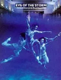Eye of the Storm: The Designs and Photographs of Storm Thorgerson