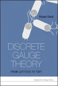 Discrete Gauge Theory