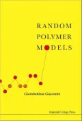 Random Polymer Models