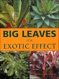 Big Leaves for Exotic Effect