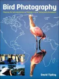 Bird Photography