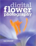 Digital Flower Photography