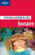 Diving and Snorkeling: Bonaire