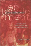 Entanglement: Literary and Cultural Reflections on Post-Apartheid