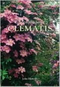 Choosing Your Clematis