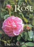 ROSES: FOR YOUR GAOPEN