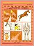 Massage for Horses