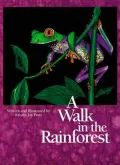 A Walk in the Rainforest