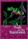 A Walk in the Rainforest
