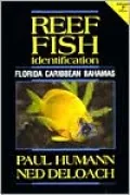 Reef Fish Identification Florida Caribbean Bahamas