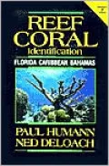 Reef Coral Identification Enlarged: Florida, Caribbean, Bahamas Including Marine Plants (Volume Three of the Reef Set Series), Vol. 3
