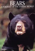 Bears: A Portrait of the Animal World